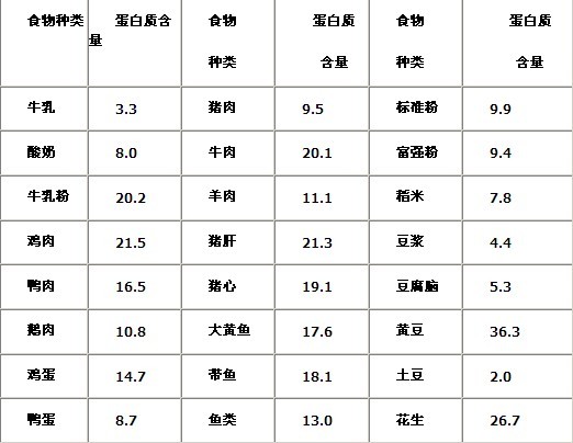 食物中蛋白质含量对比照