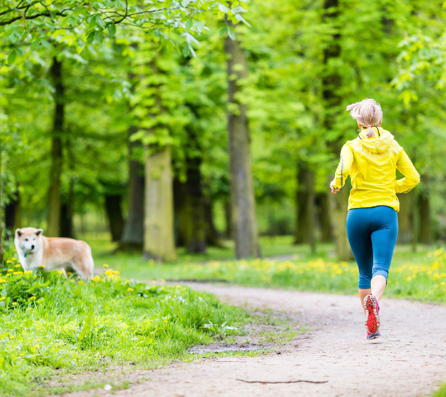 运动损伤与修复健身减肥跑步