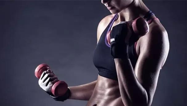 运动训练增肌运动减肥