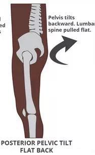 运动训练大腿肌肉运动减肥