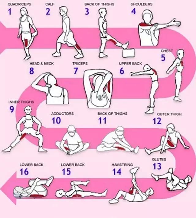 运动训练跑步拉伸运动减肥