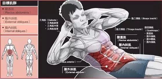 运动训练针对跑者的力量训练运动减肥