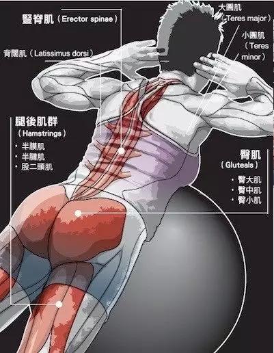 运动训练针对跑者的力量训练运动减肥