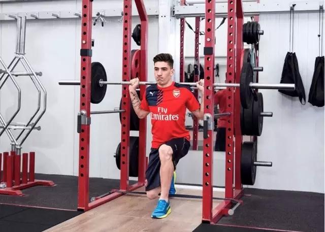 运动训练你最需要的肌力训练运动减肥