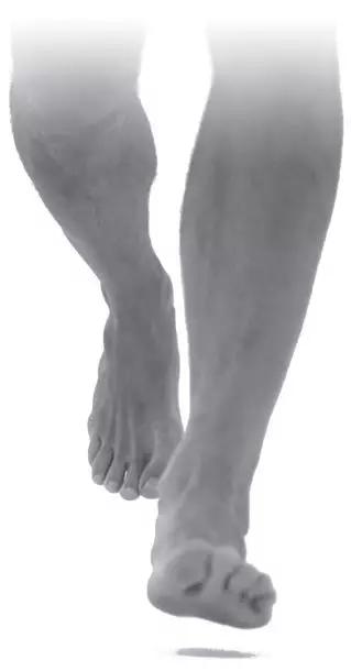 运动训练跑步时,脚到底哪里先着地运动减肥